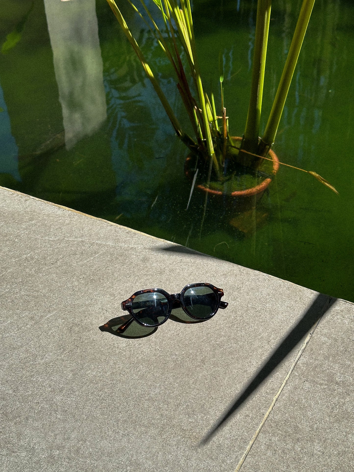 BrightWear Series Leopard Dark Green Polarized L004